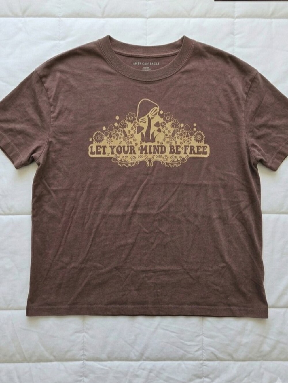 American Eagle Brown Graphic Tee - Medium